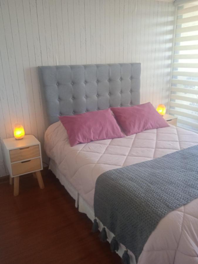 Apartamento Departamento Centro Santiago