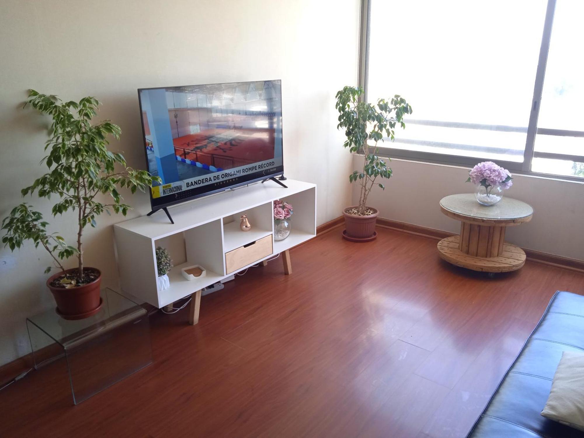 Apartamento Departamento Centro Santiago